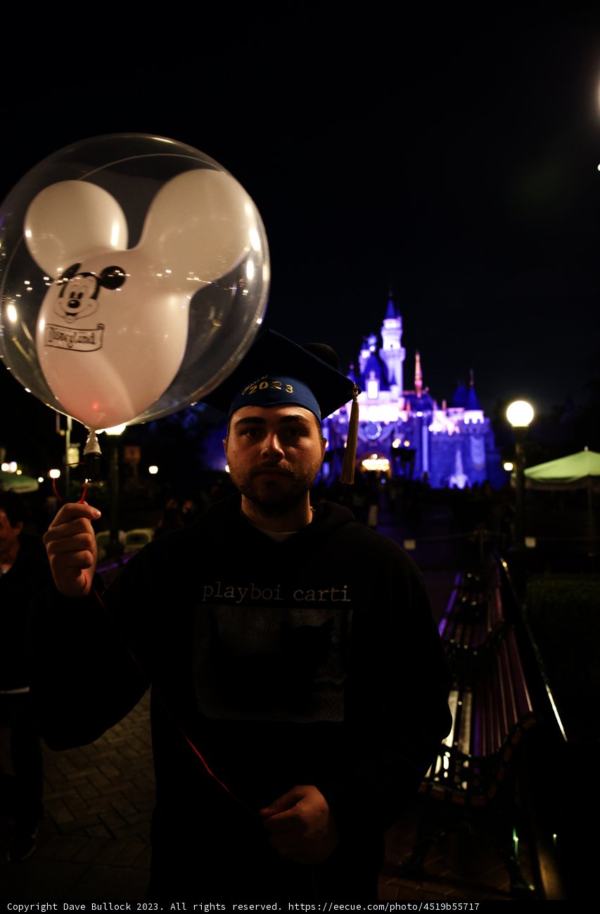 Magical Disneyland Night with Balloons