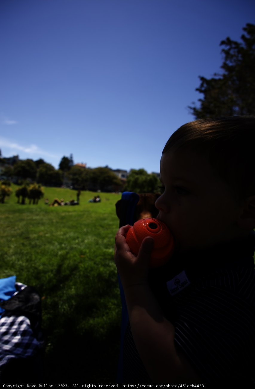 Summer Fun at Delores Park