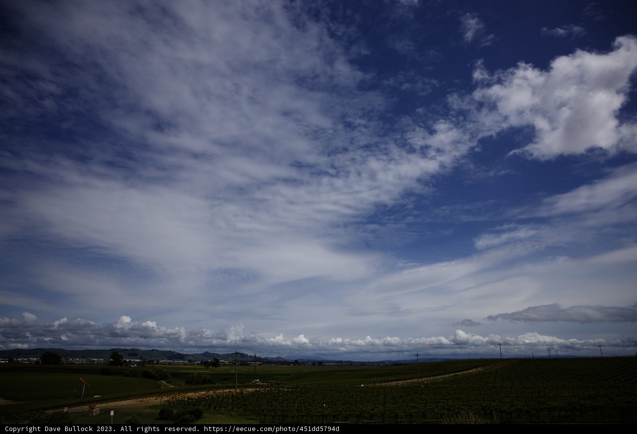Breathtaking Vineyard Skies at Bouchaine Vineyards