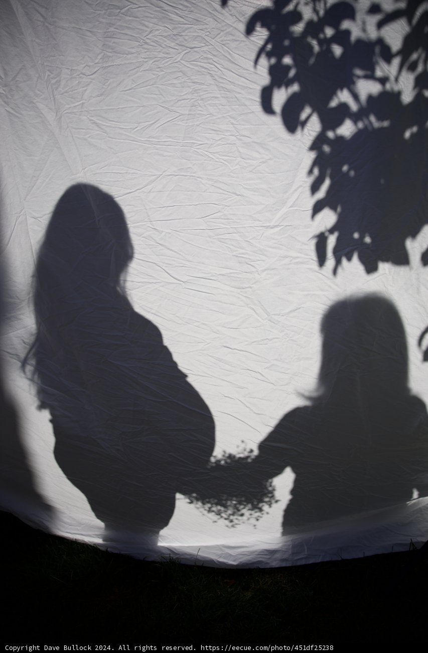 Shadows of New Beginnings