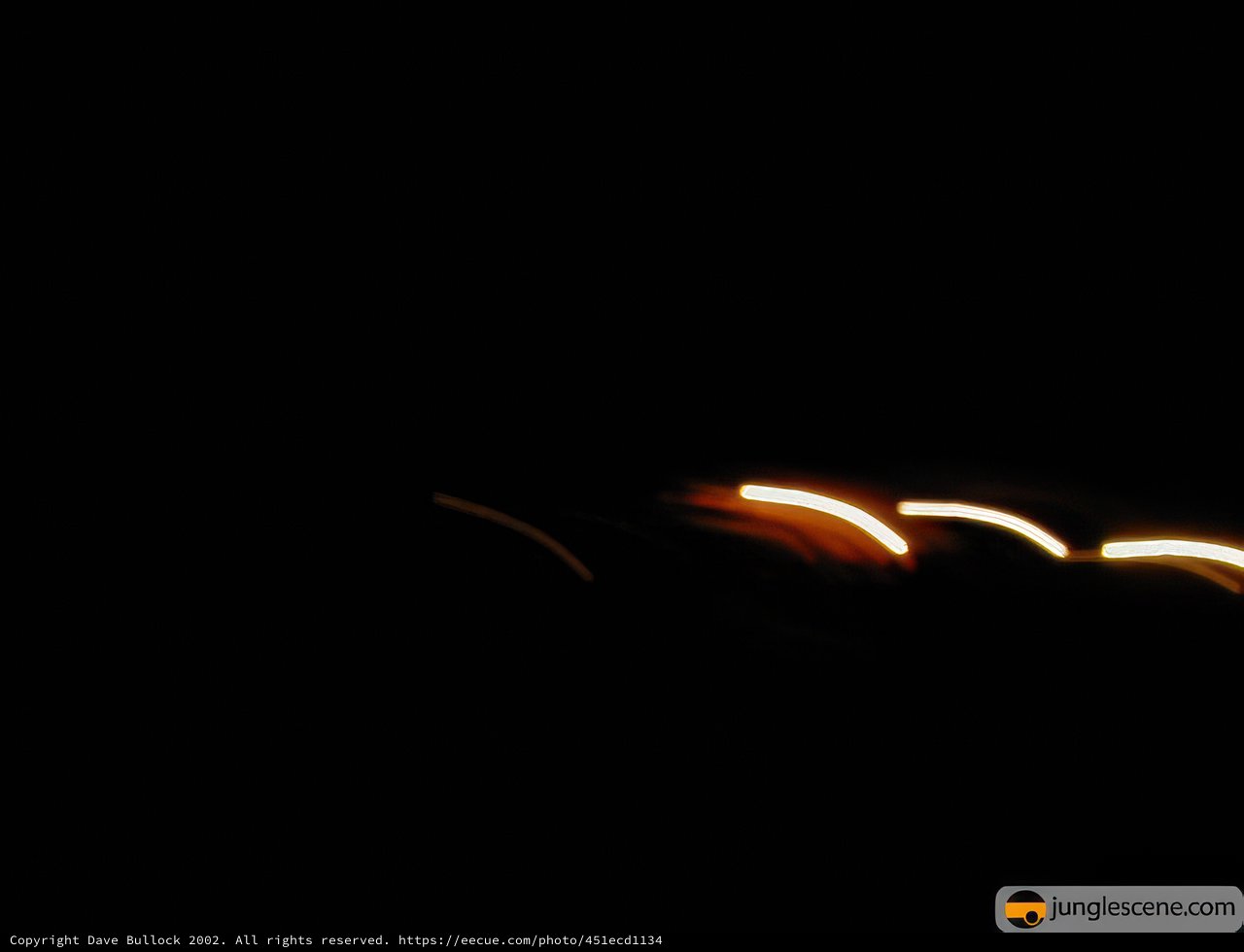 Night Drive with Sparkling Skies