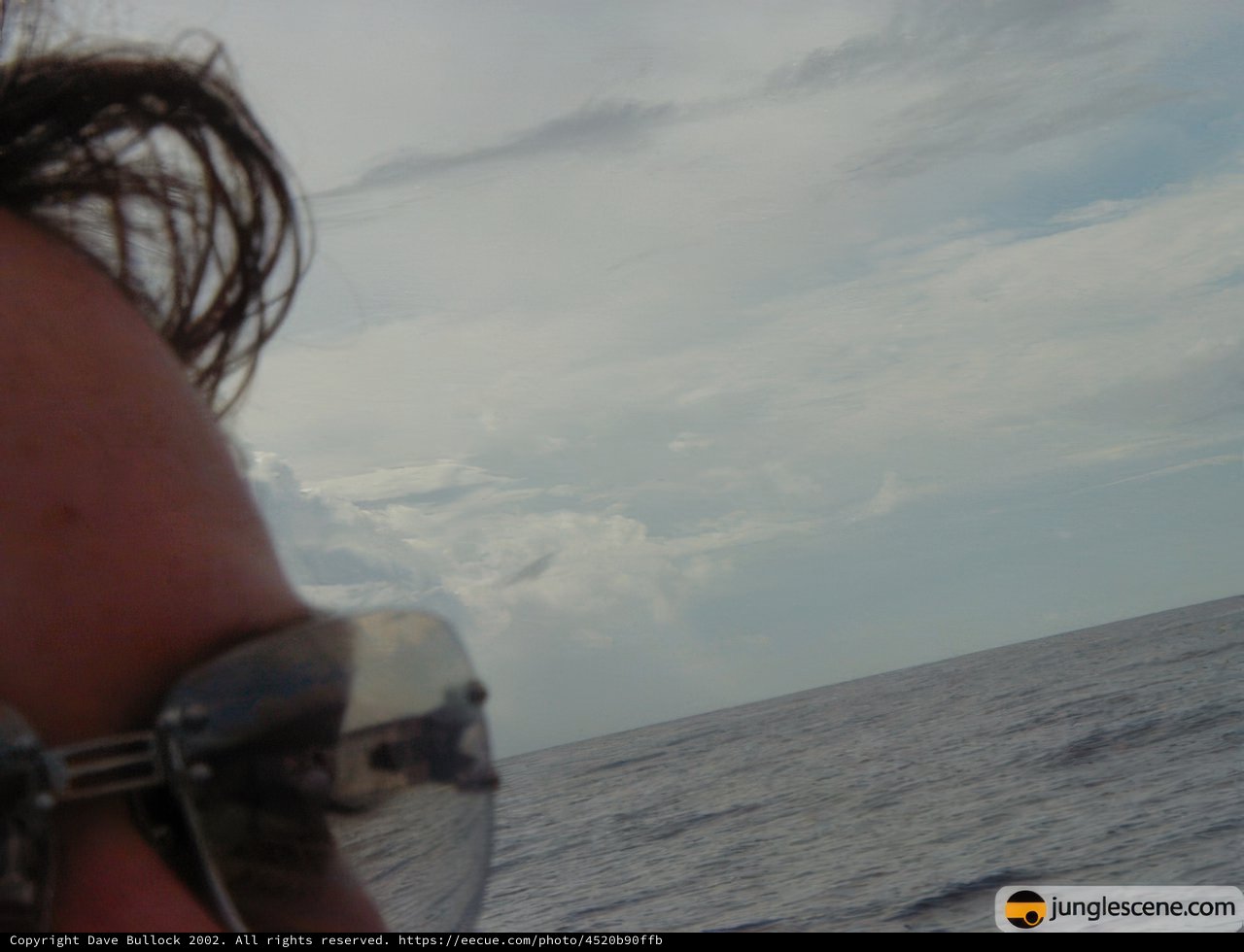 Sunglasses by the Sea