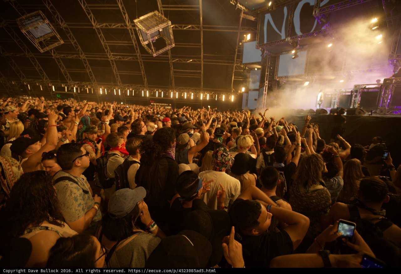 Energized Crowd at DJ Ötzi's Concert