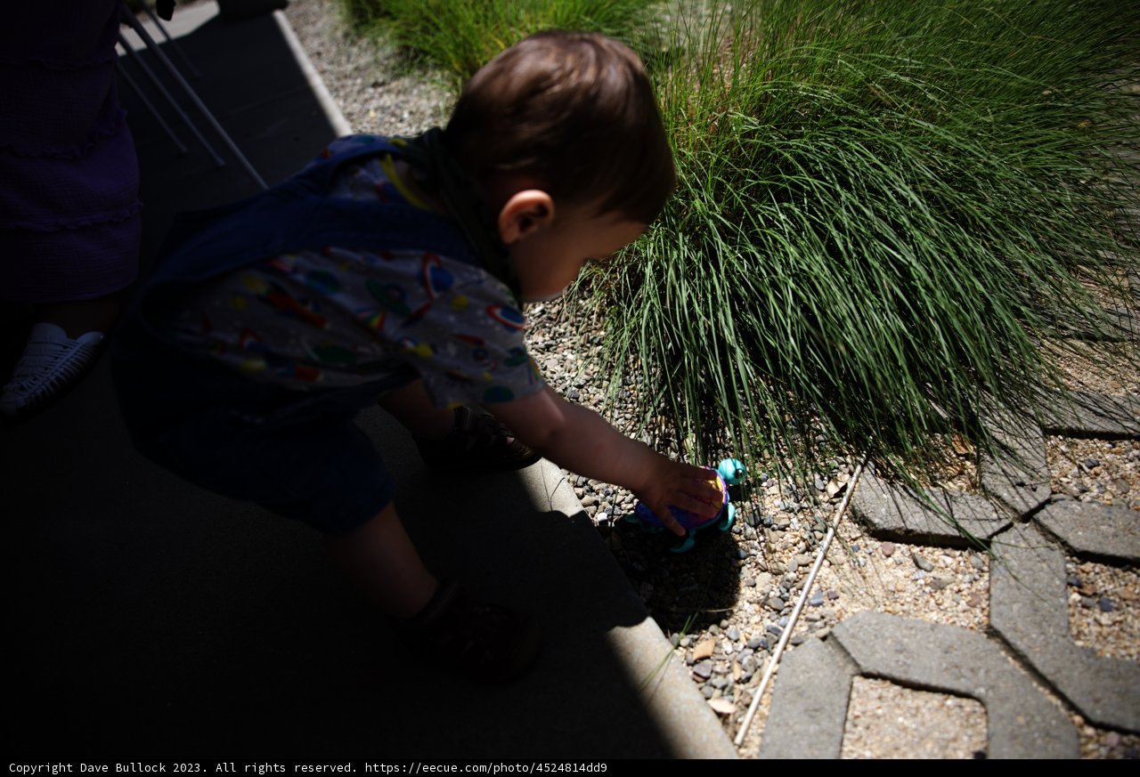 Joyful Moments on the Sidewalk