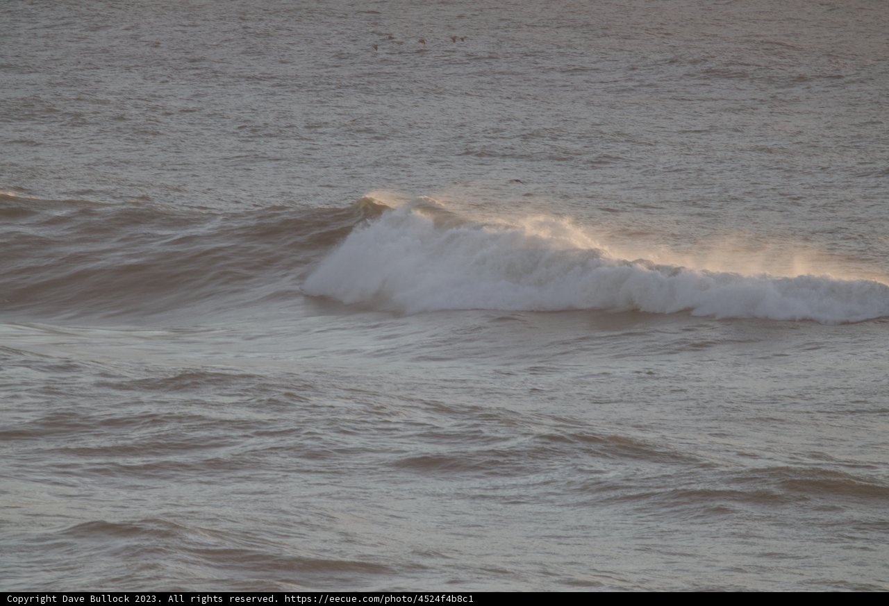 Surfer's Paradise on the Pacifica