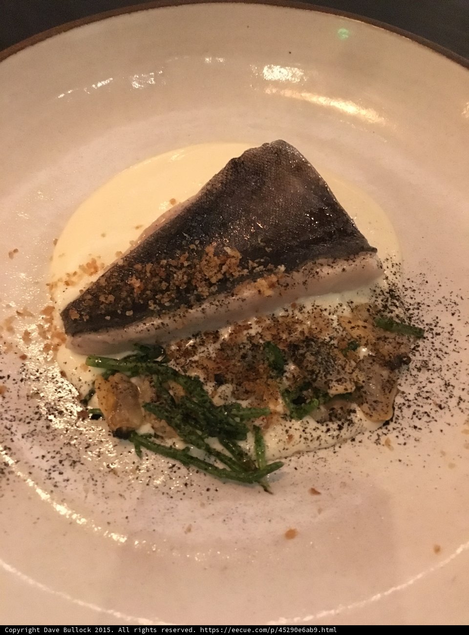 Seared Fish Cream Sauce