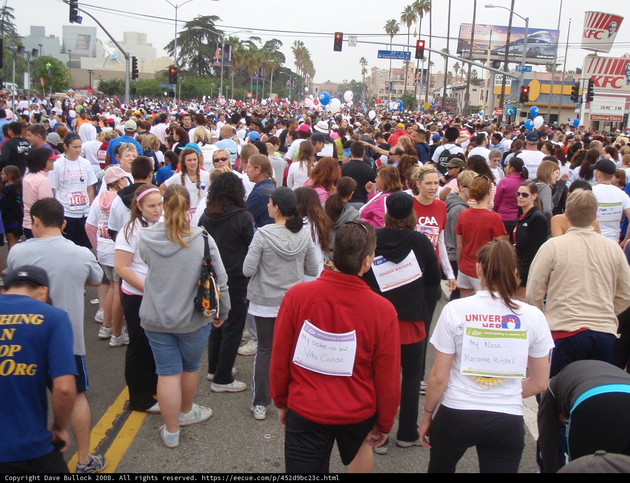 The 2008 Revlon Parade