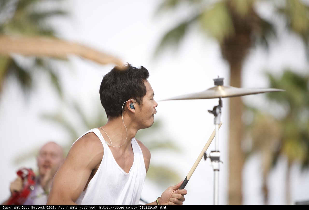 Drumming Under the Palm Trees