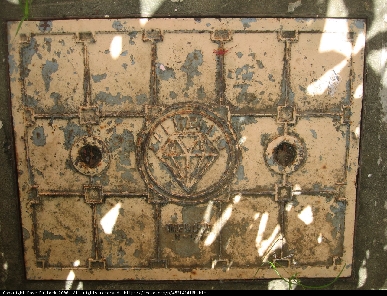 Diamond in the Rust
