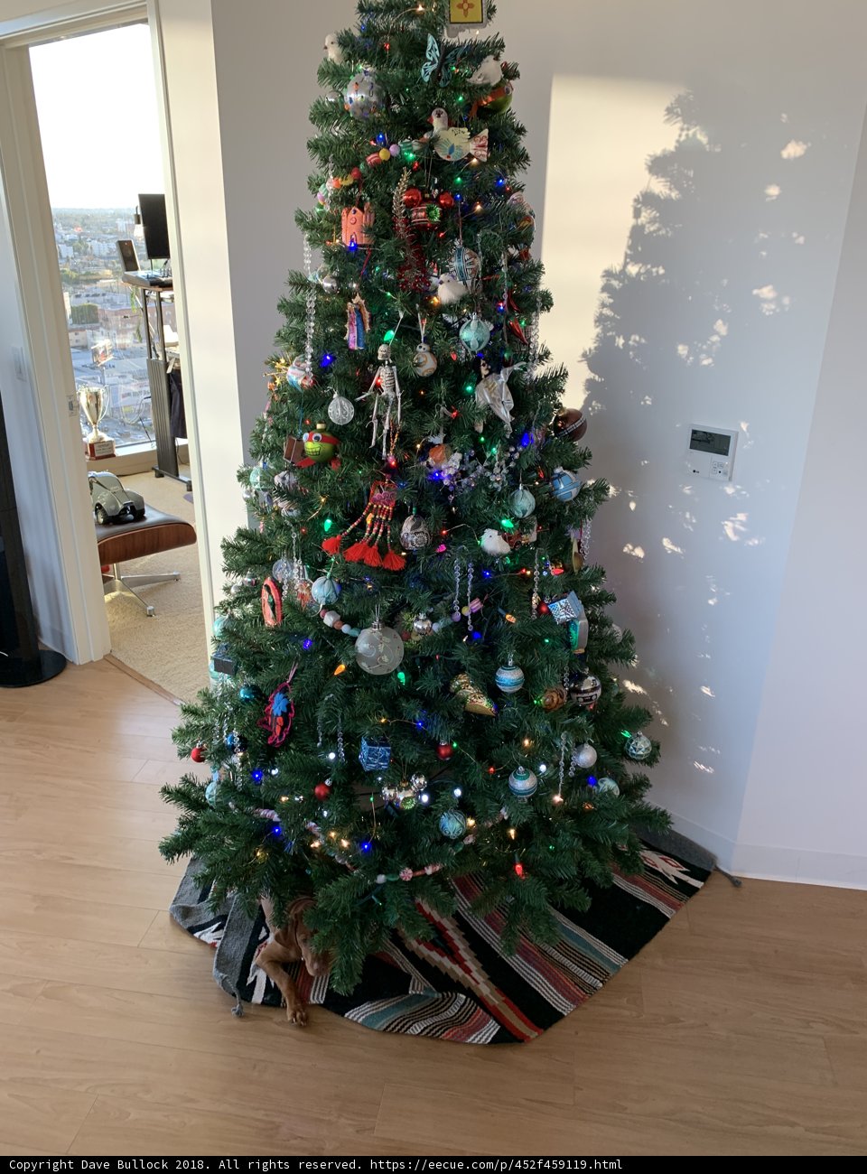 Festive Christmas Tree by the Window