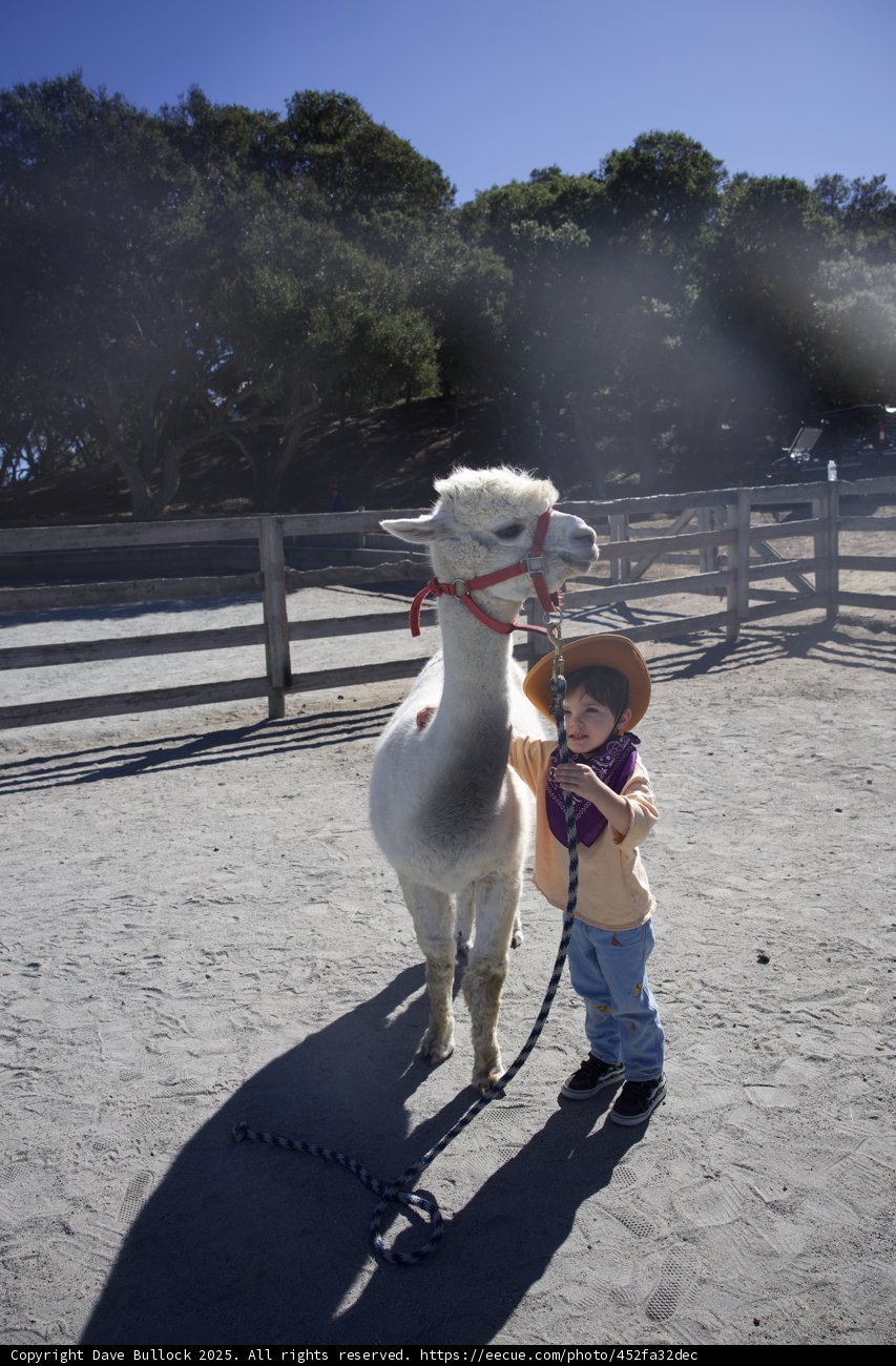 Cowboy's New Friend