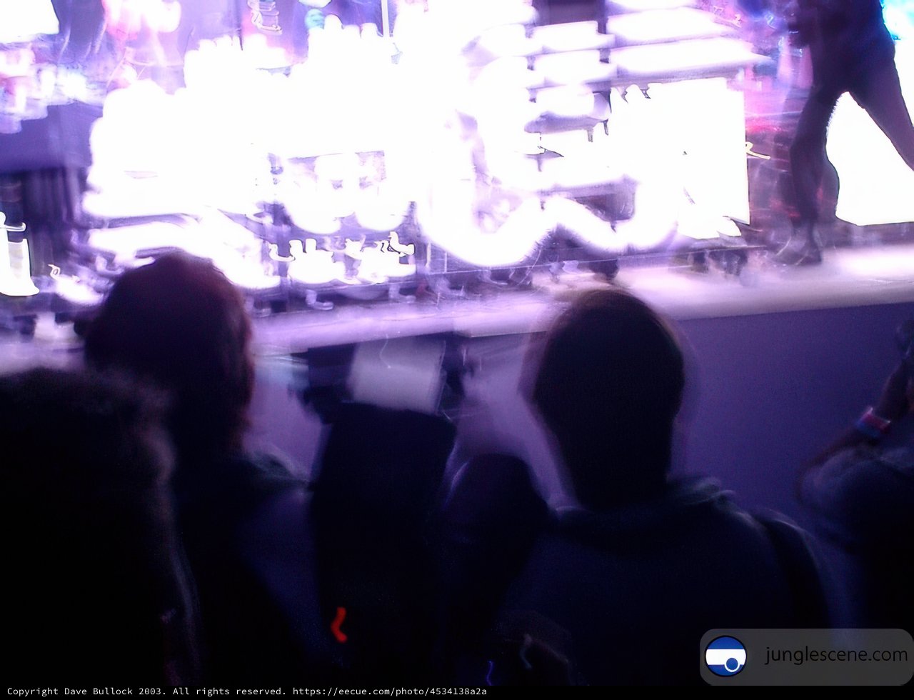 Blurry Nightclub Concert Crowd