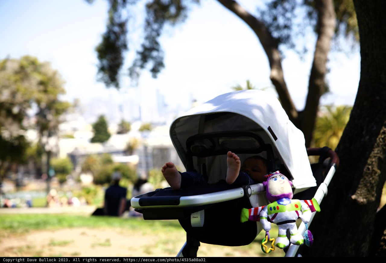 Morning Stroll in Delores Park, 2023