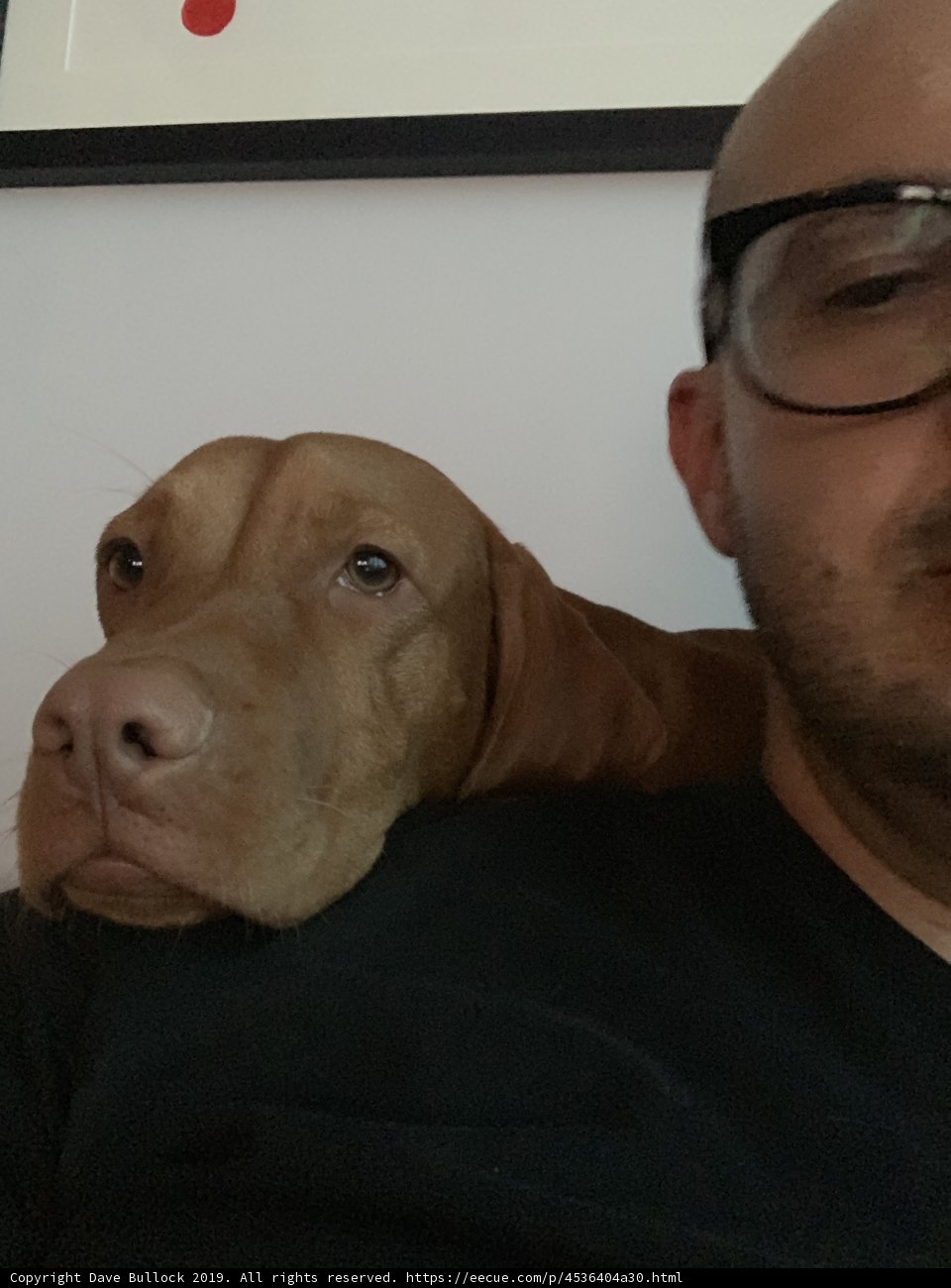Spectacled Man and His Furry Friend