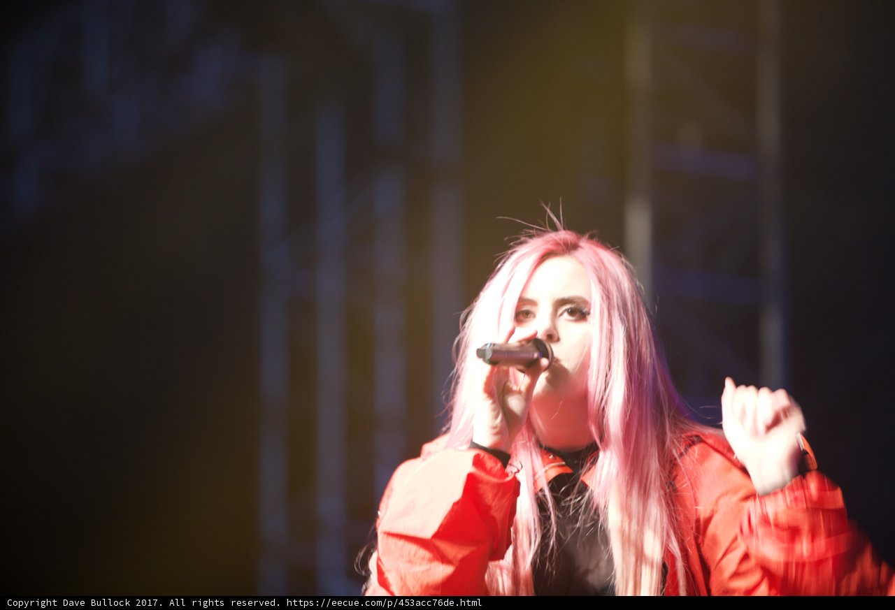 The Pink-Haired Songstress