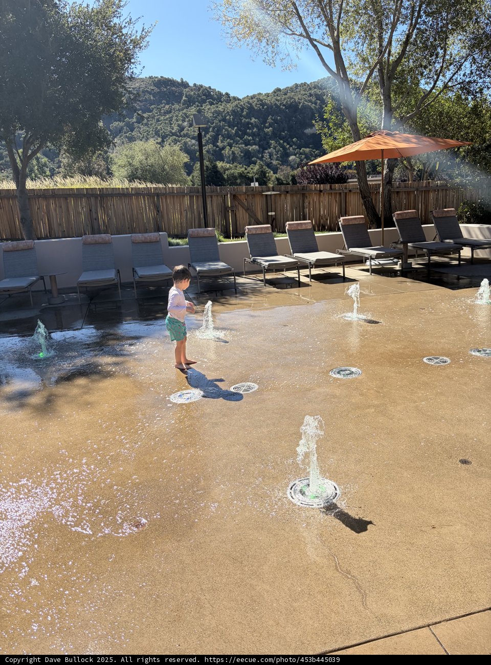 Splash of Joy