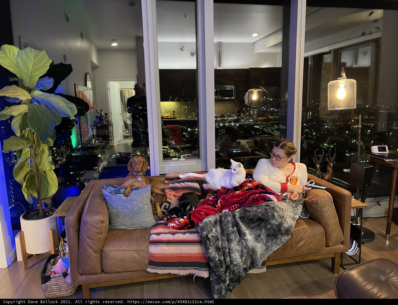 Cozy Living Room Hangout