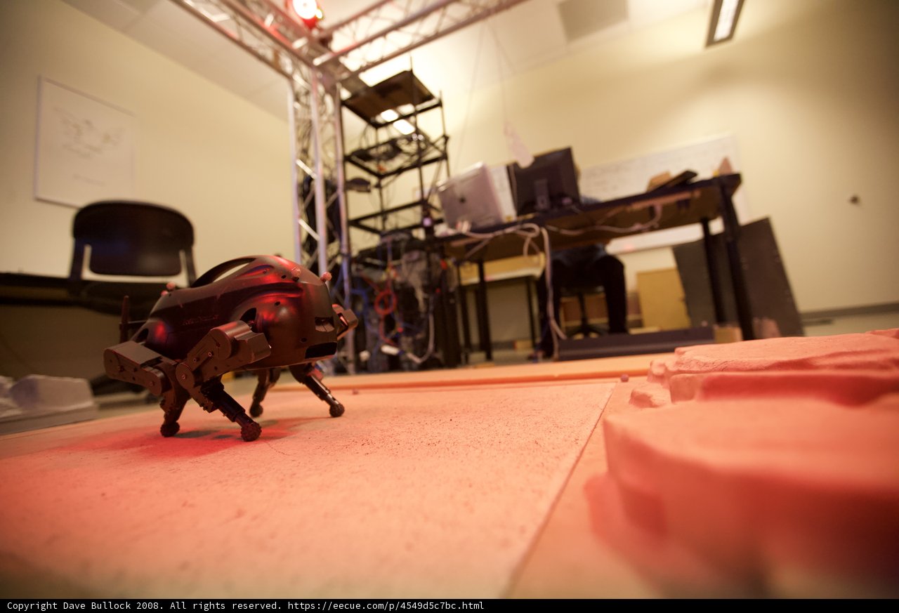 Robotic Table Walk