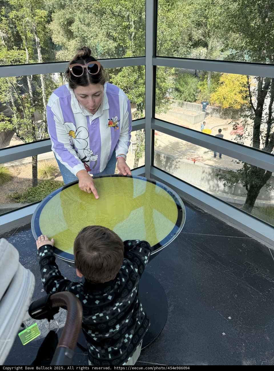 Exploring the Mysteries of Science