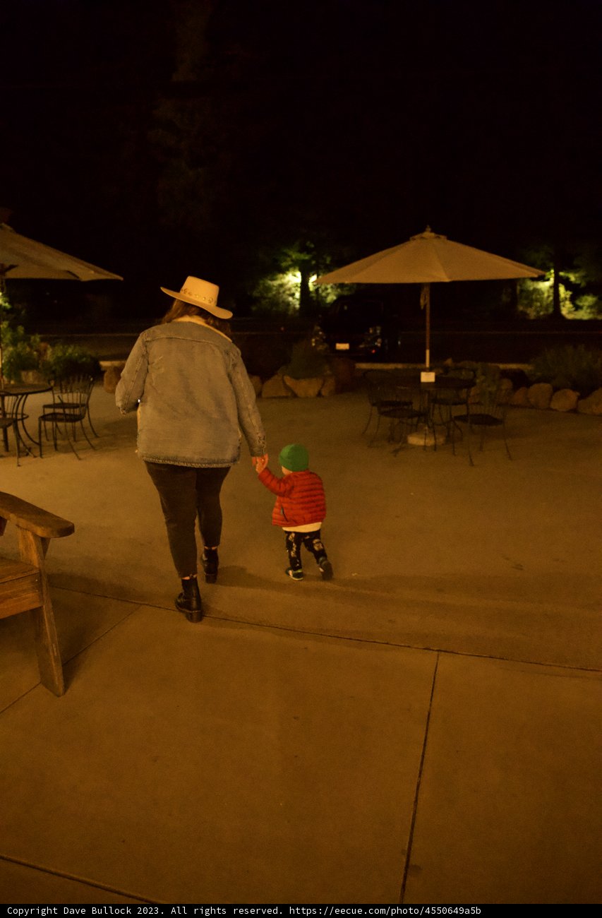 Nocturnal Sojourn in Big Sur