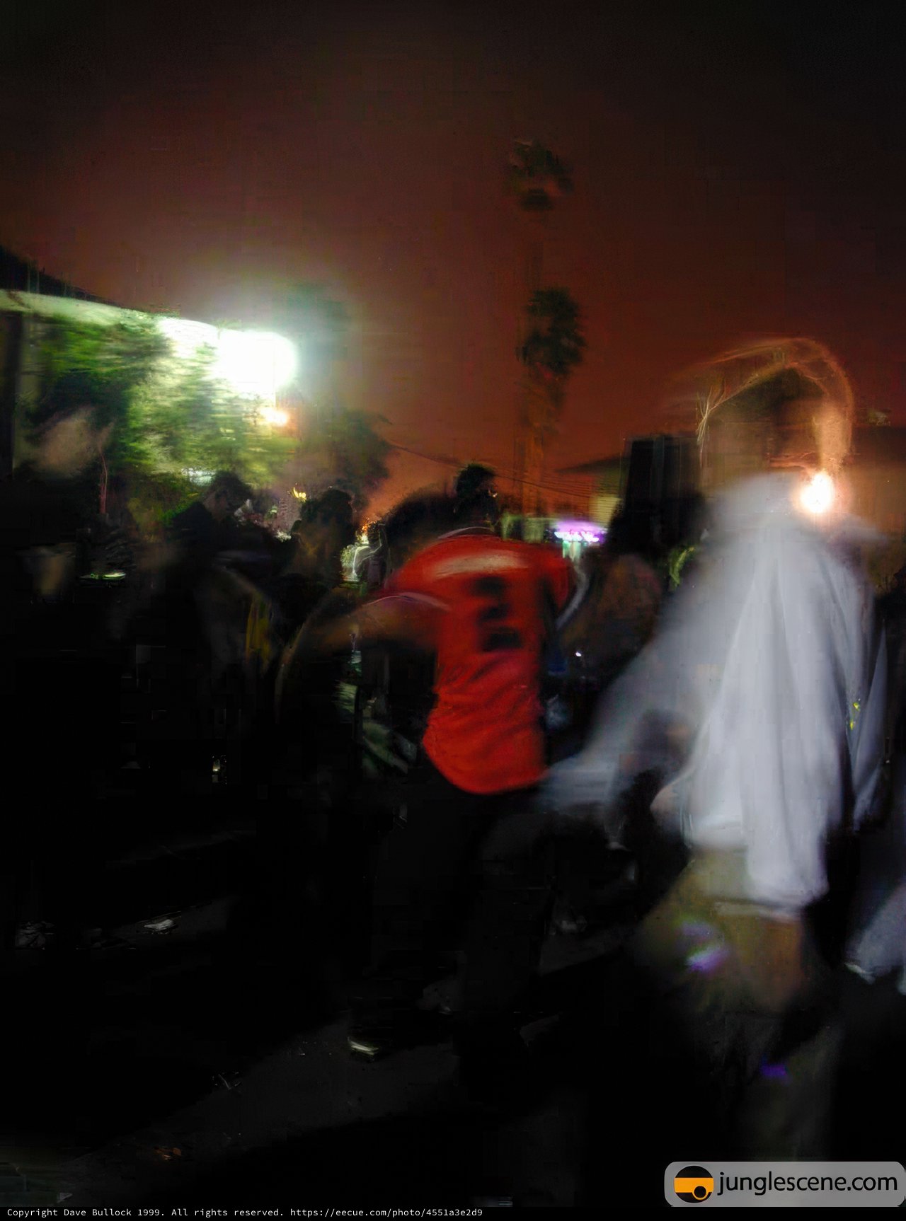 Nightlife in the Urban Jungle