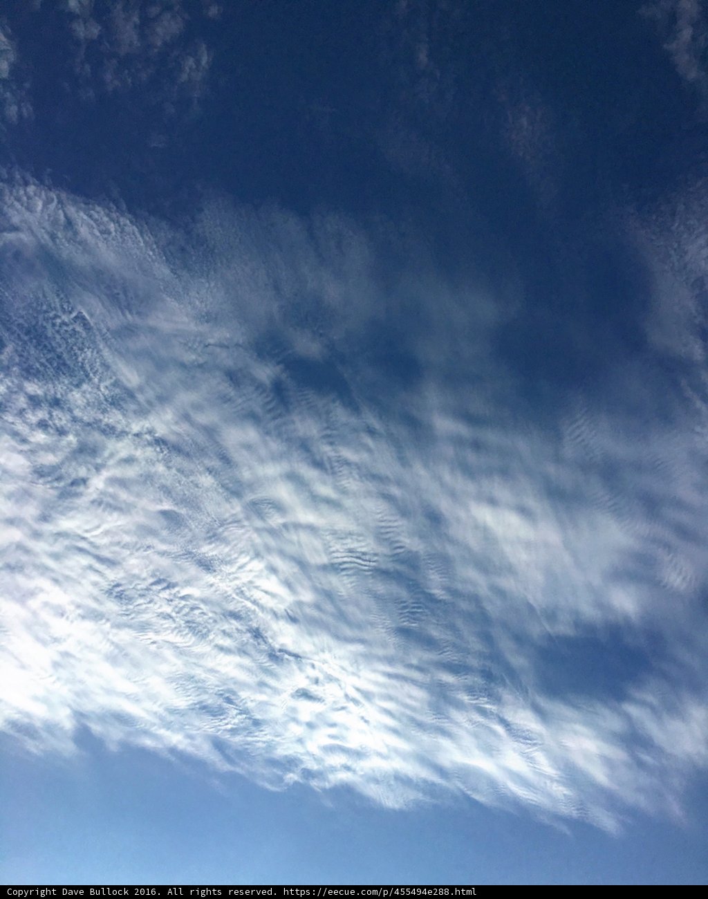 Azure Skies Over Hancock Park La Brea