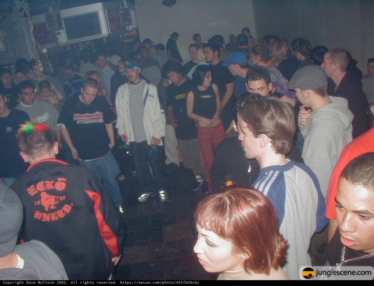 Nightlife Madness
