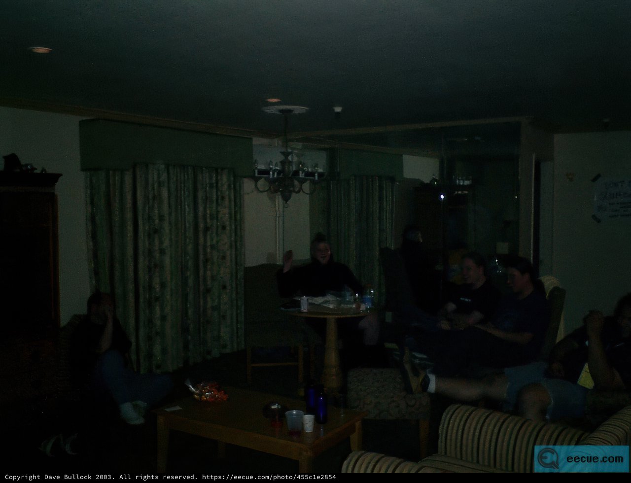 Cozy Gathering in a Classic Living Room