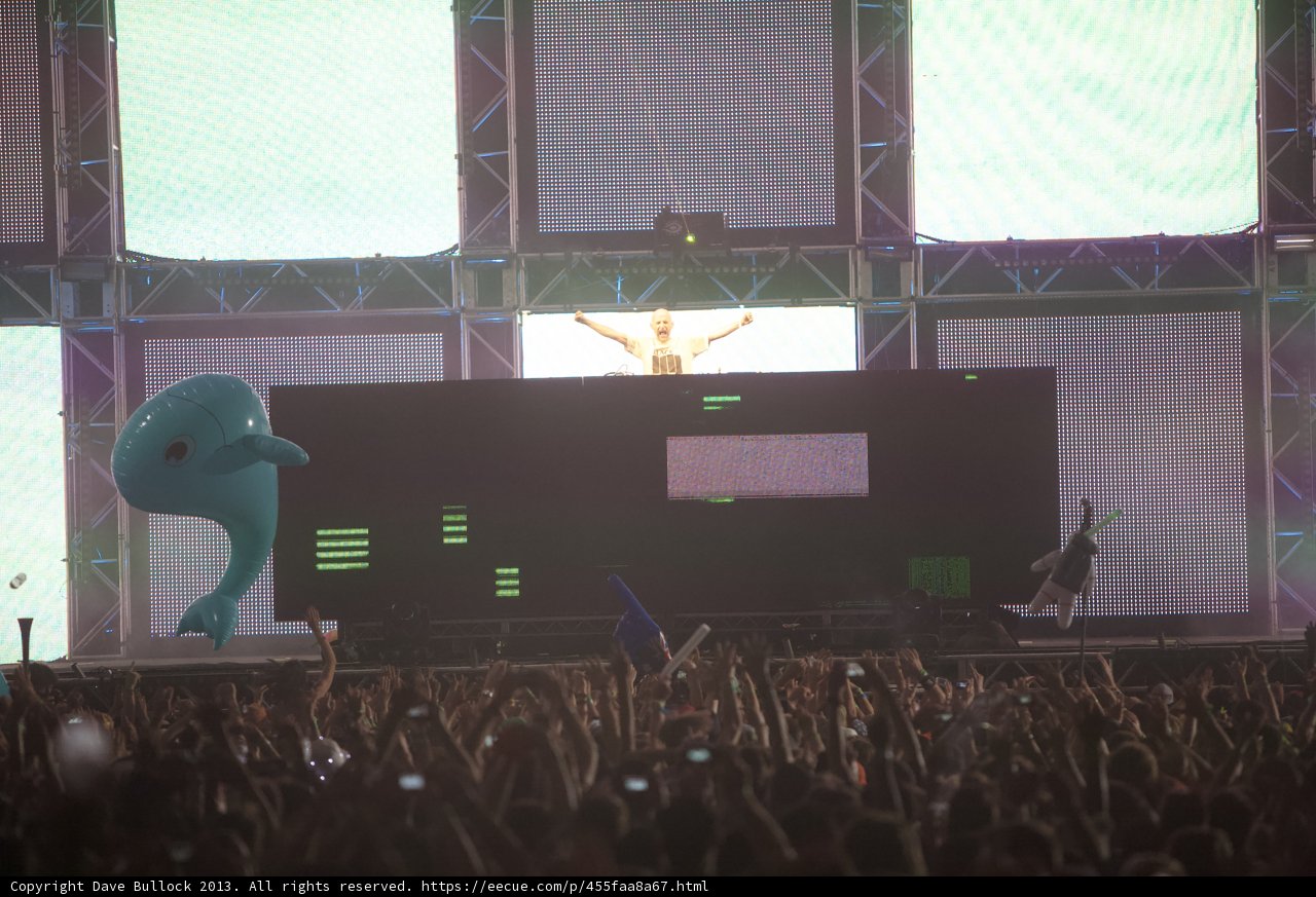 Coachella Rocks the Crowd