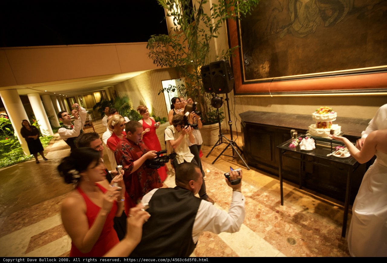 Wedding party poses for group photo