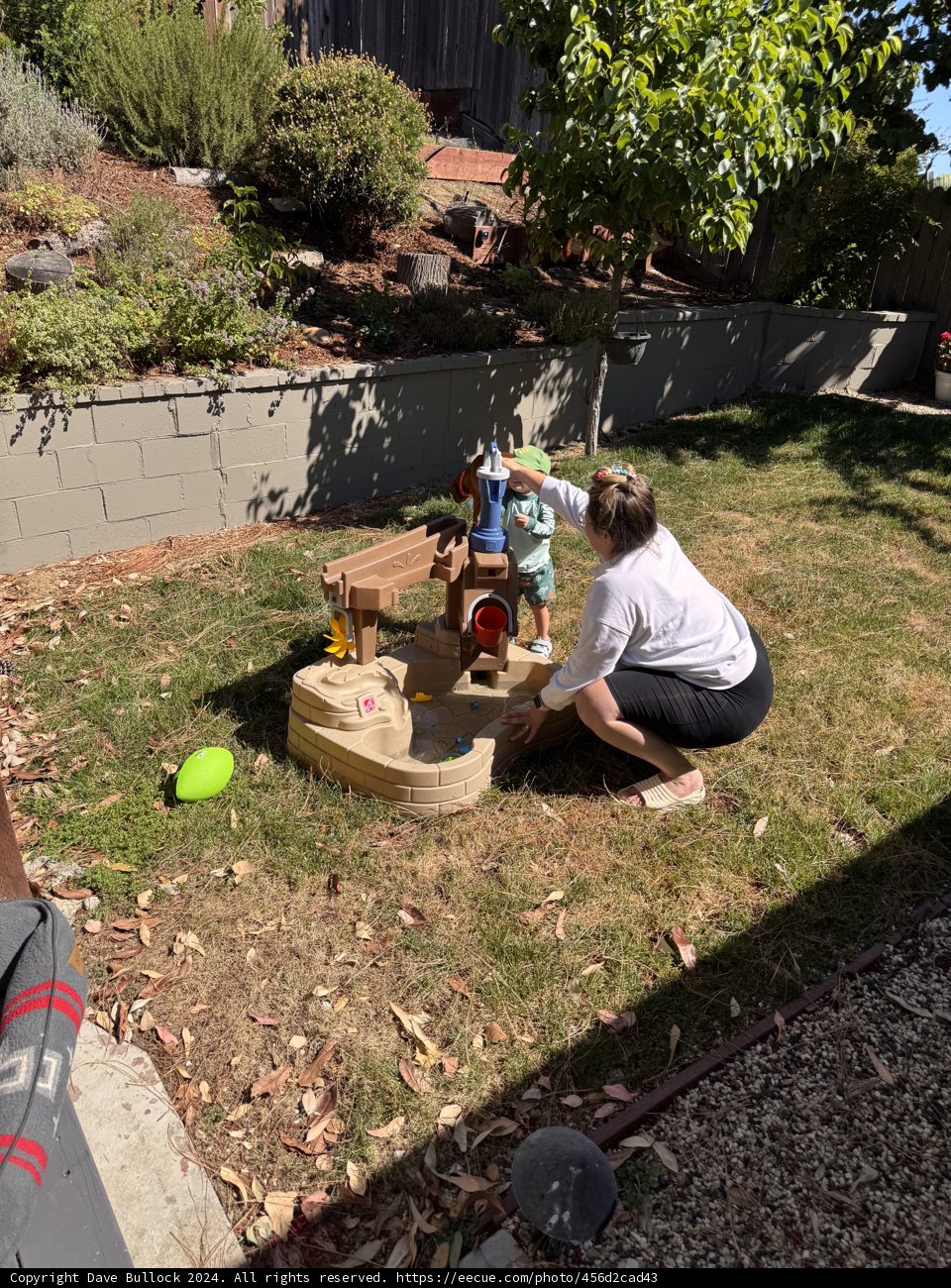Backyard Fun Under the Sun
