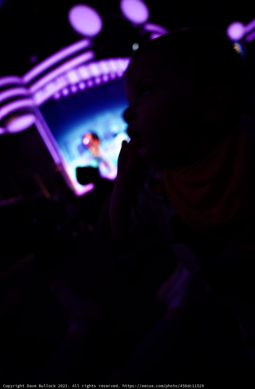 Enchanted Night at Disneyland