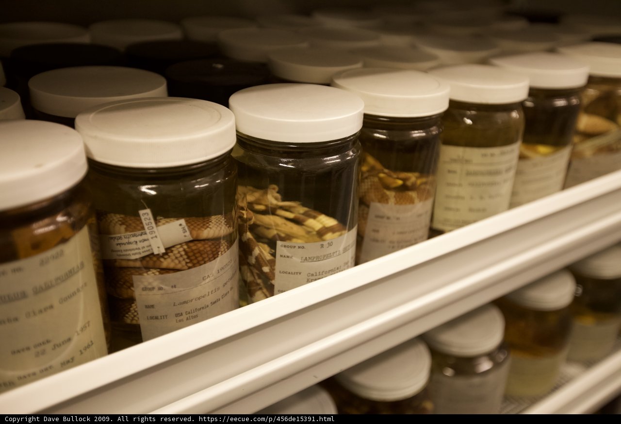 Medicine Cabinet
