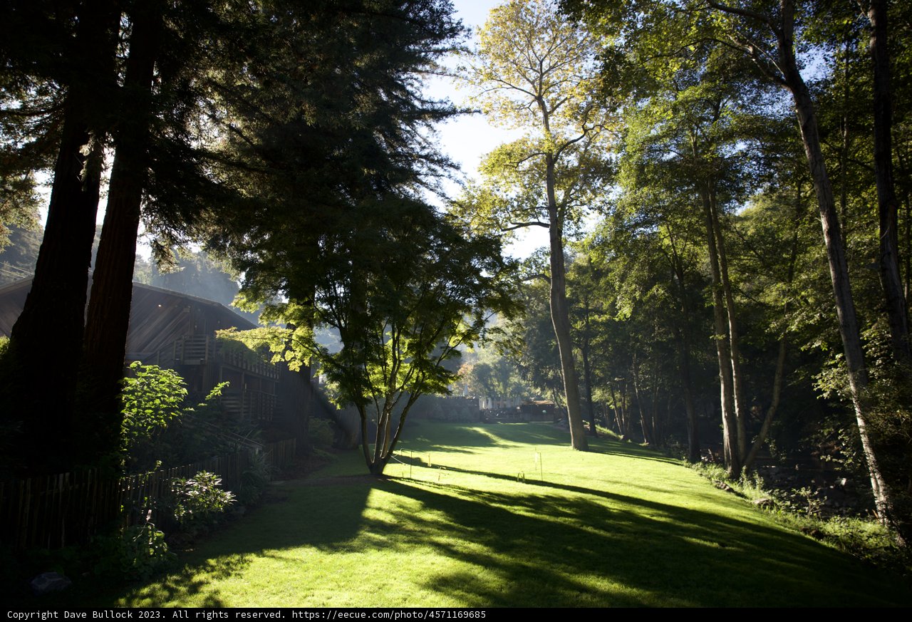 Serene Morning in Big Sur, 2023