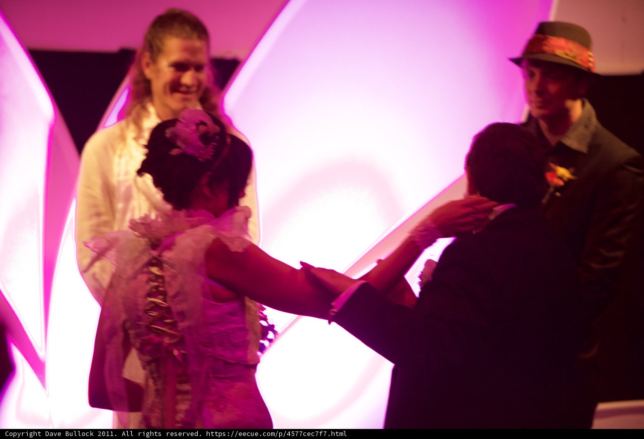 A Tango of Purple Feathers