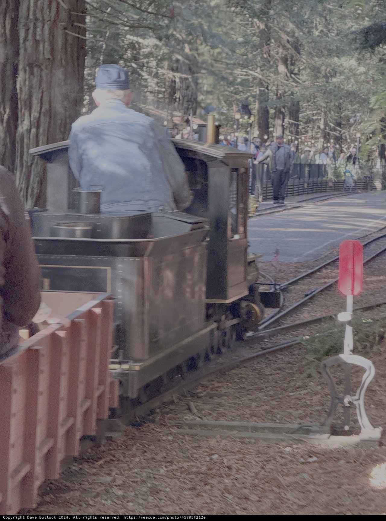 Historic Steam Train at Forest Station Platform