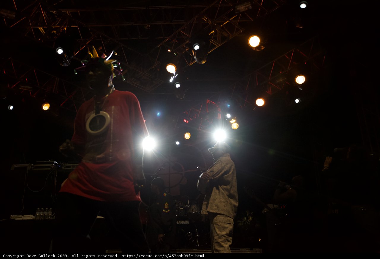 Flavor Flav Takes the Stage at Coachella 2009