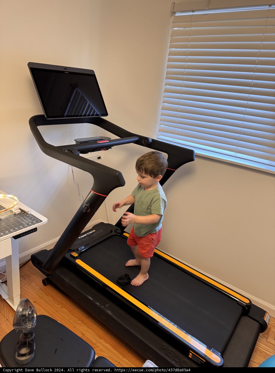 Little Treadmill Adventurer