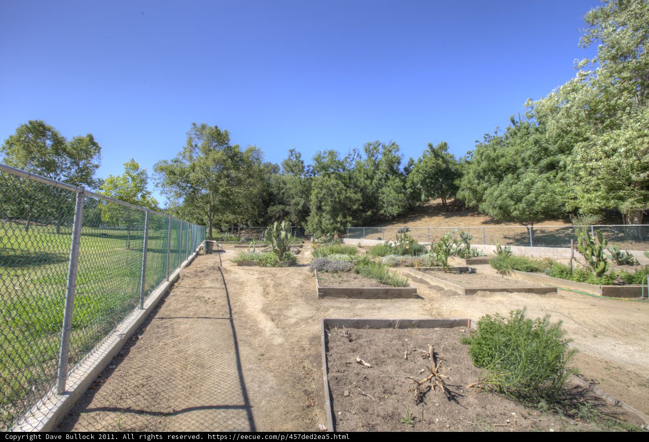 Fenced in Scenery