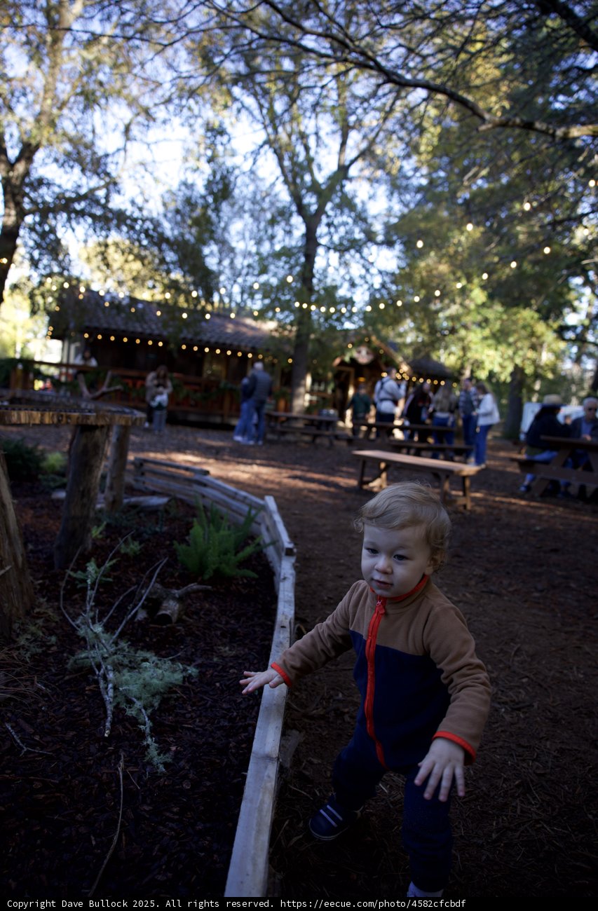 Exploring Thistlewyck's Natural Playground