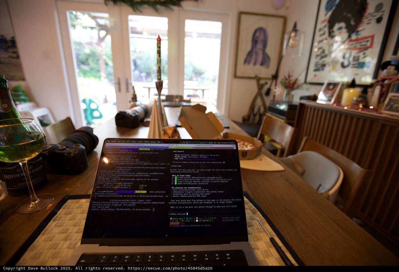 Remote Developer's Christmas Day Work from Home Setup