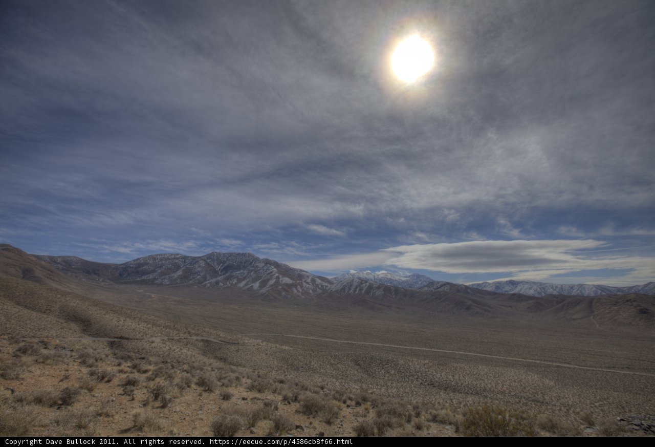 Sun-kissed Desert Landscape