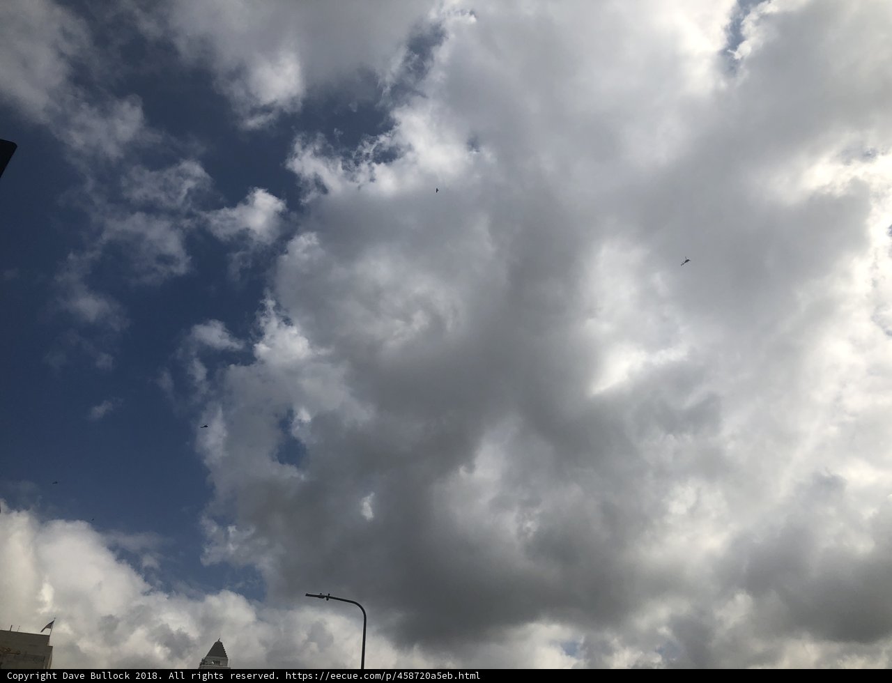 Birds Soaring Through the Cloudy Sky
