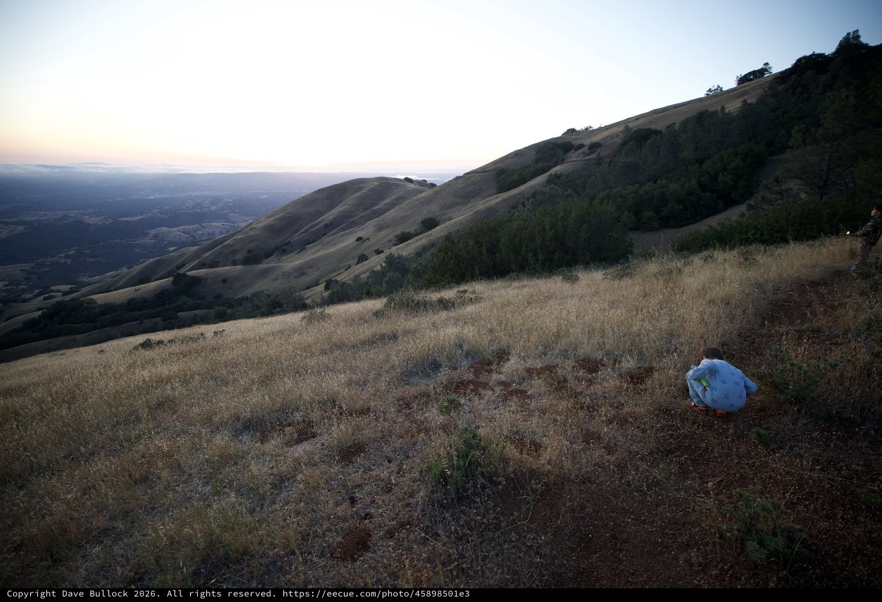 Child's Wonder at Dusk on Mount Diablo