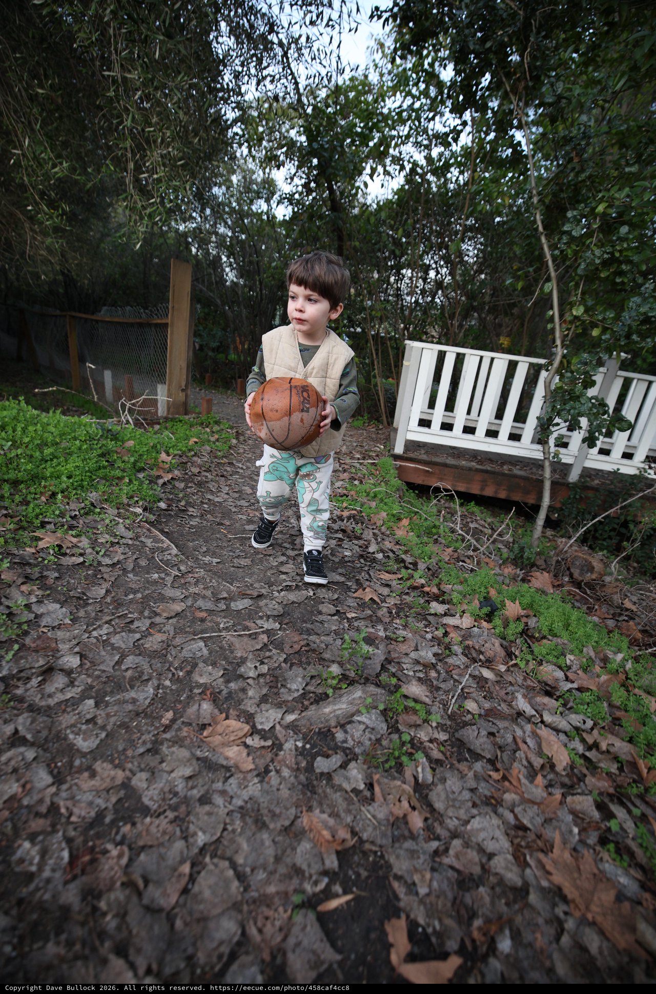 Young Boy Playing Basketball in Backyard Garden