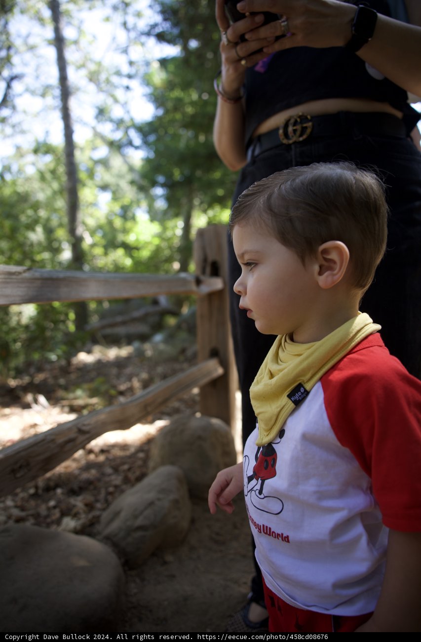 Wesley's Adventurous Day