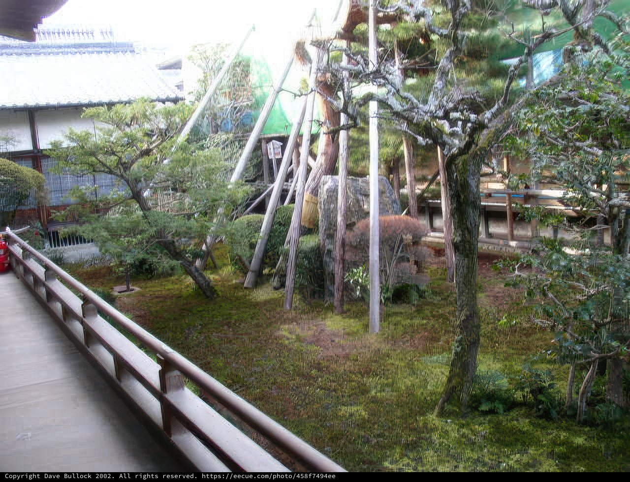 Garden View from Balcony at the Zoo Resort