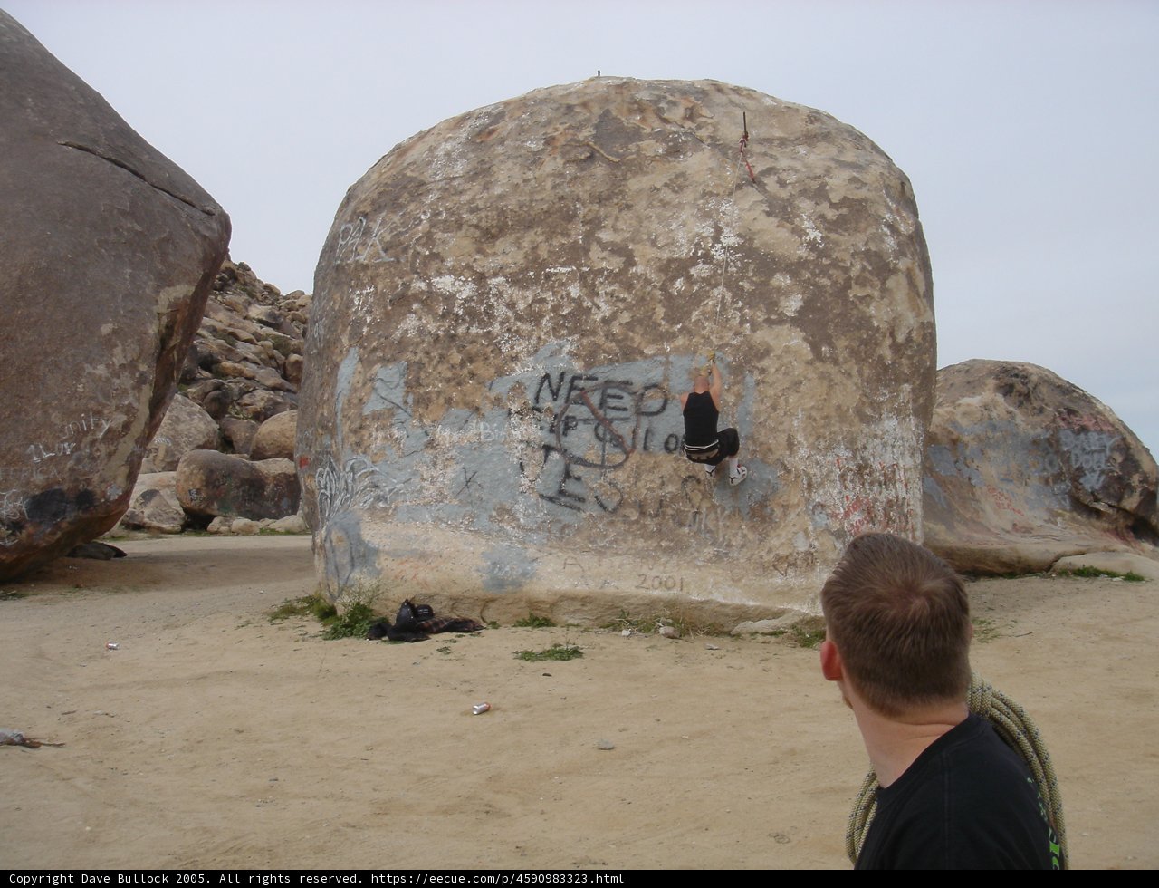 Skateboarding through History