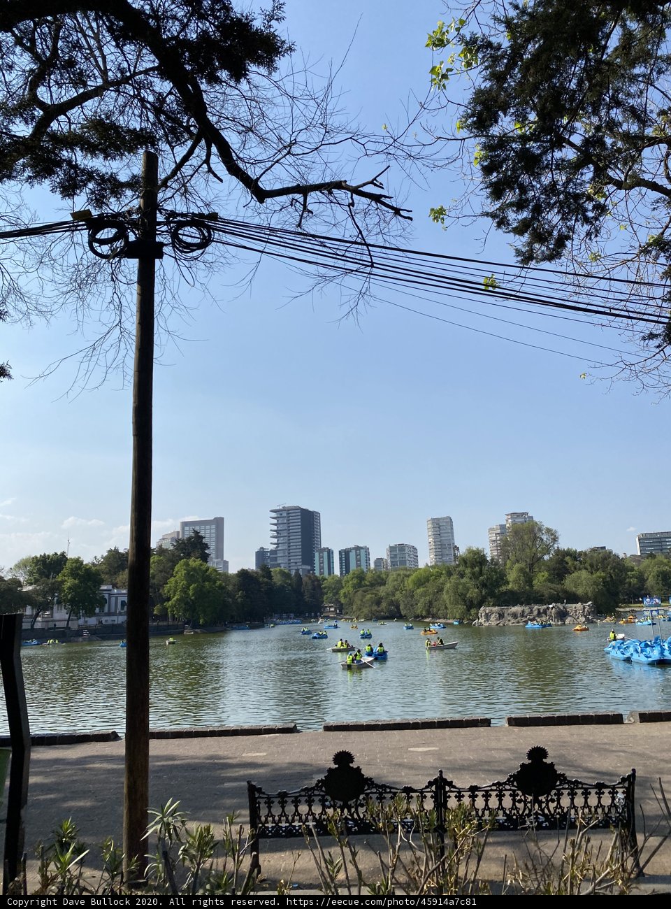 Tranquil moments by the lake