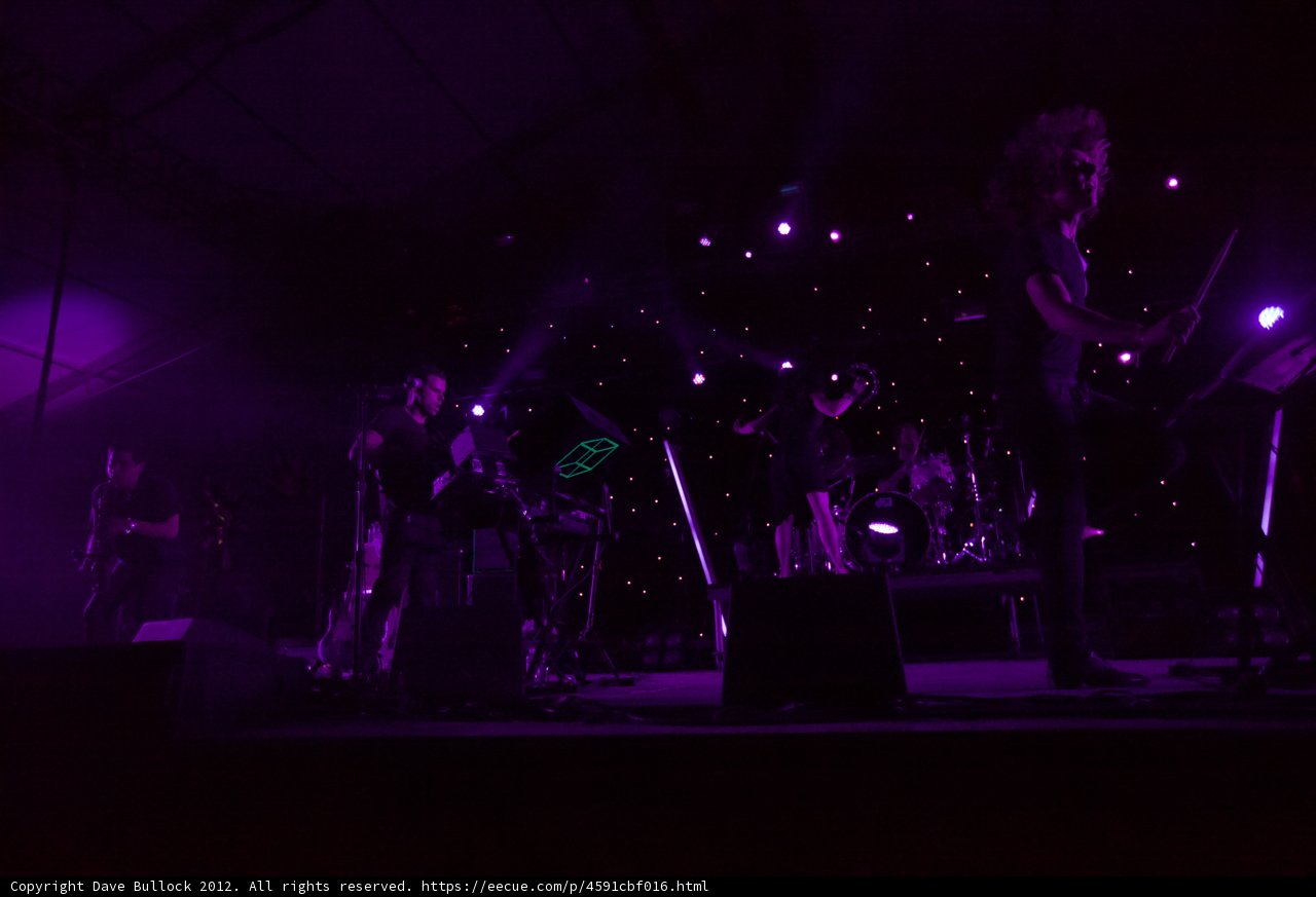 Rocking Out Under the Purple Haze
